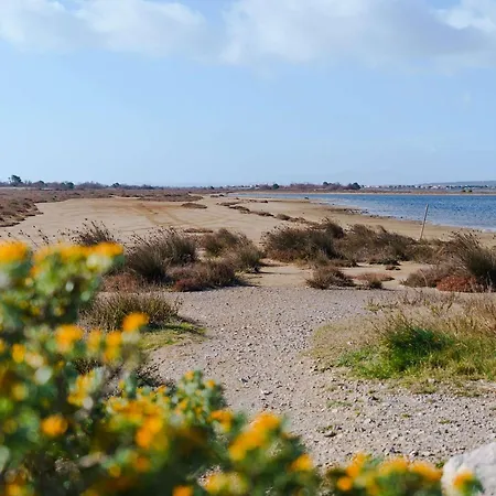 Villa Mezzanine Climatise, Terrasse, Parking Prive, Animaux Bienvenus, Entre Narbonne-plage Et - Fr-1-409-270 Gruissan