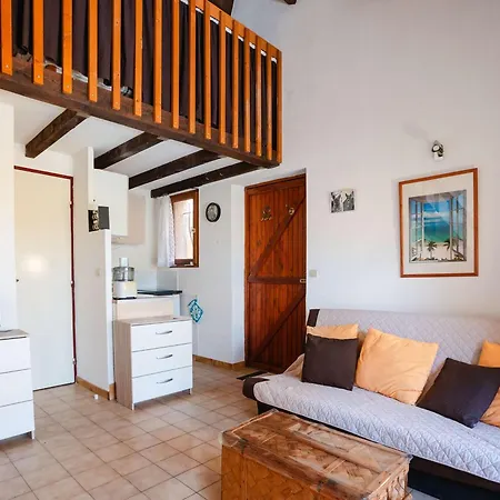 Mezzanine Climatise, Terrasse, Parking Prive, Animaux Bienvenus, Entre Narbonne-plage Et - Fr-1-409-270 *